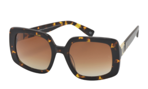 TERESA CALANDRA Ashley